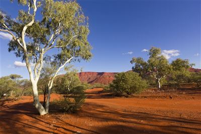 Mount Augustus